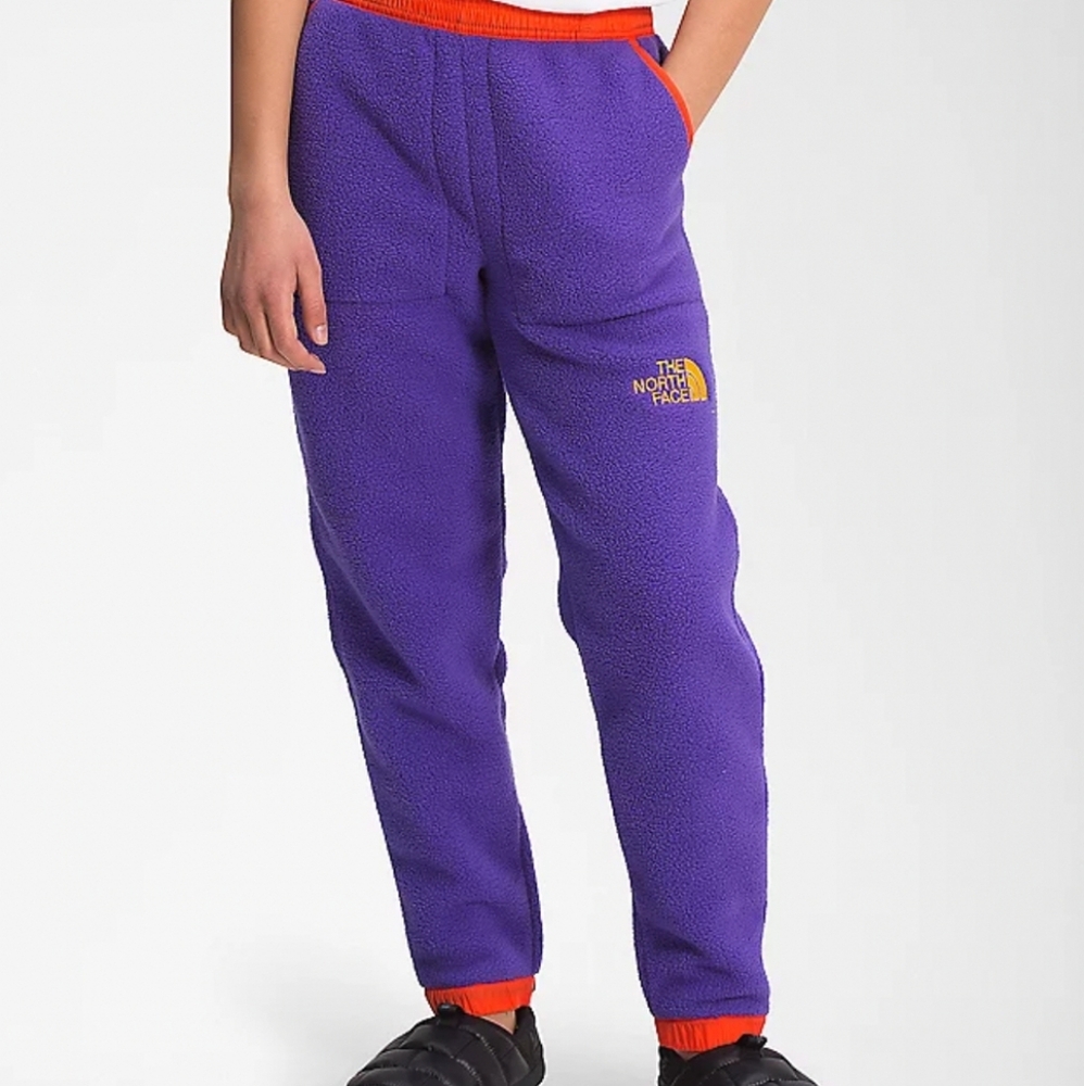 The North Face Kids Unisex Fleece Joggers Large Peak Purple Summit Gold Retro